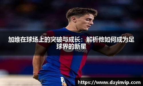 球速体育官网